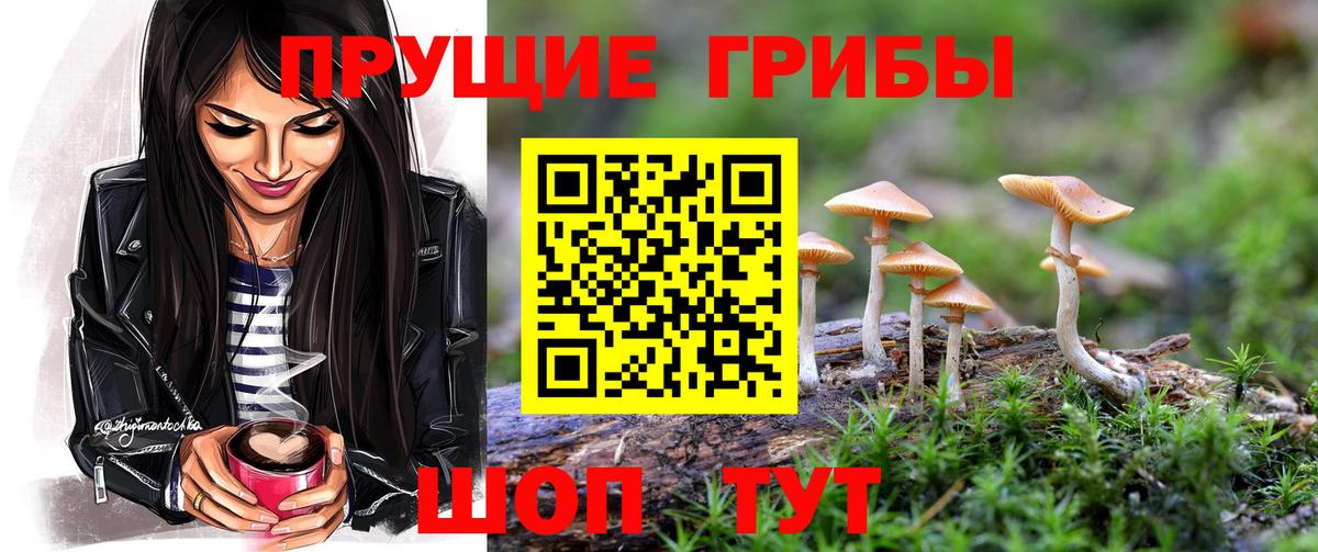 Топки  Псилоцибиновые грибы Psilocybe  Галлюциногенные грибы мицелий  Вход с VPN 